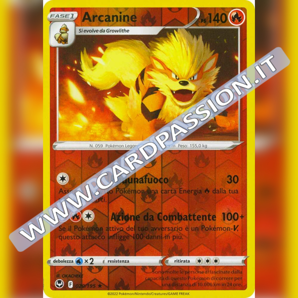 020/195 Arcanine Reverse | Tempesta Argentata