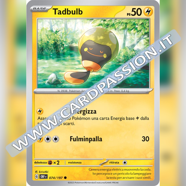 074/197 Tadbulb | Ossidiana Infuocata