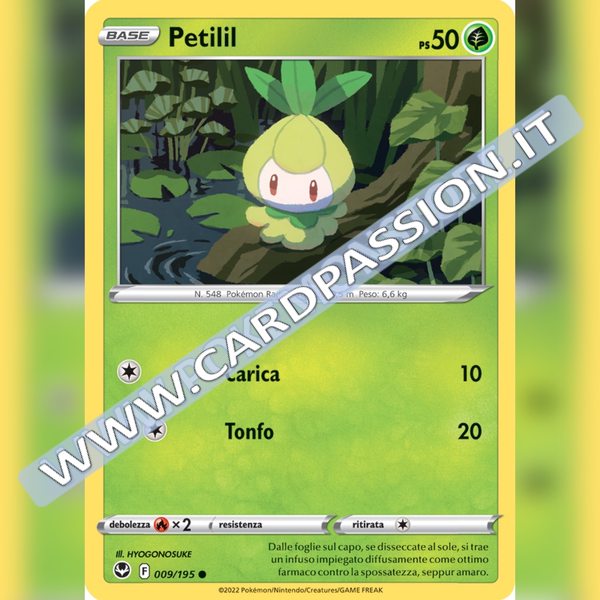 009/195 Petilil | Tempesta Argentata