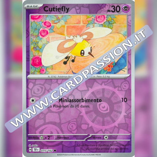 075/162 Cutiefly Reverse | Cronoforze