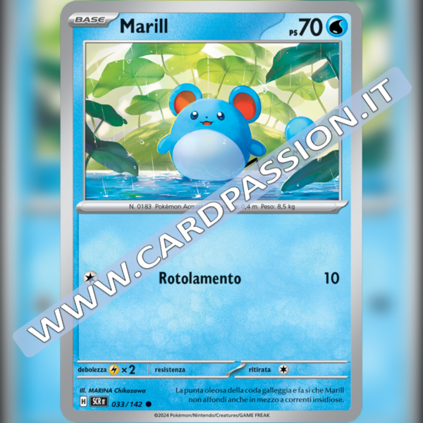 033/142 Marill | Corona Astrale