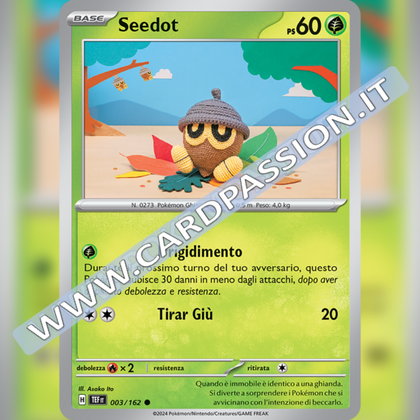 003/162 Seedot | Cronoforze