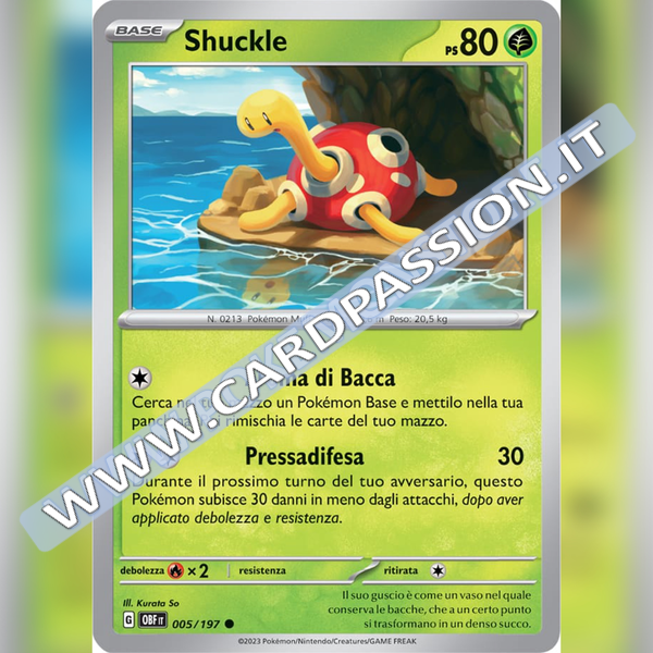 005/197 Shuckle | Ossidiana Infuocata