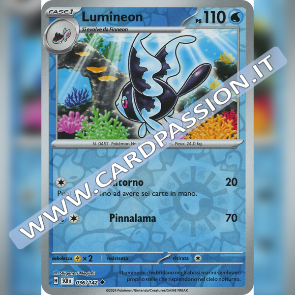 036/142 Lumineon Reverse | Corona Astrale
