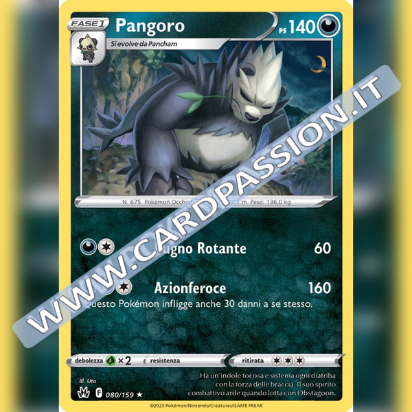 080/159 Pangoro | Zenit Regale