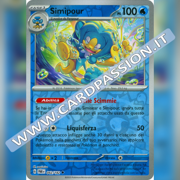 042/182 Simipour Reverse | Paradosso Temporale