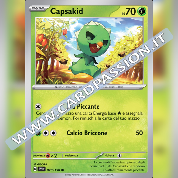 028/198 Capsakid | Scarlatto e Violetto