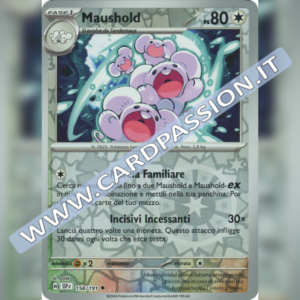 158/191 Maushold Reverse | Scintille Folgoranti