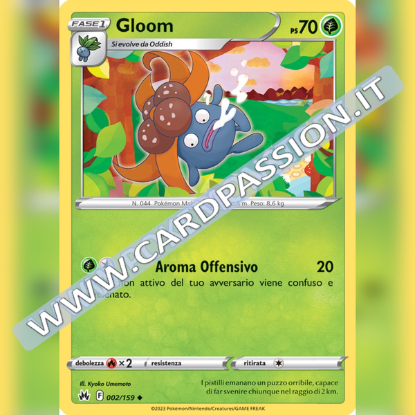 002/159 Gloom | Zenit Regale