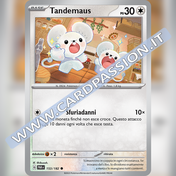 153/182 Tandemaus | Paradosso Temporale