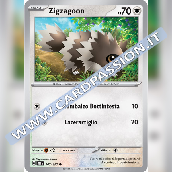 167/197 Zigzagoon | Ossidiana Infuocata