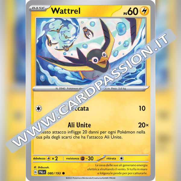 080/193 Wattrel | Evoluzioni a Paldea