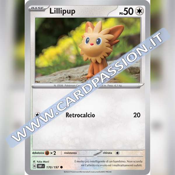 170/197 Lillipup | Ossidiana Infuocata
