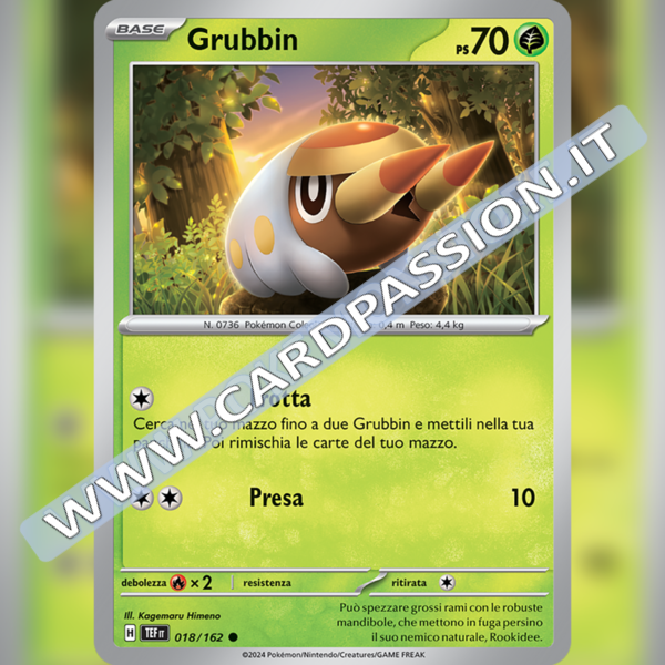 018/162 Grubbin | Cronoforze