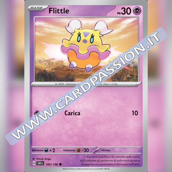 100/198 Flittle | Scarlatto e Violetto