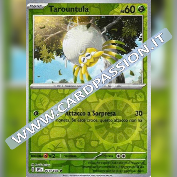 018/198 Tarountula Reverse | Scarlatto e Violetto