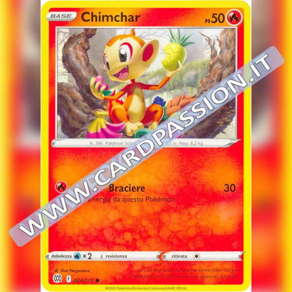 024/172 Chimchar | Astri Lucenti - Card Passion