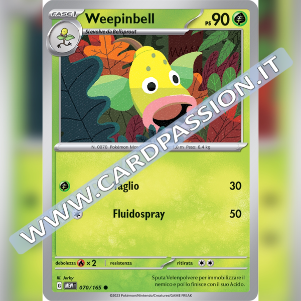 070/165 Weepinbell | Scarlatto e Violetto 151