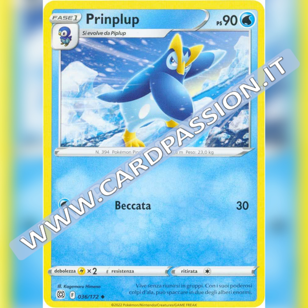 036/172 Prinplup | Astri Lucenti - Card Passion