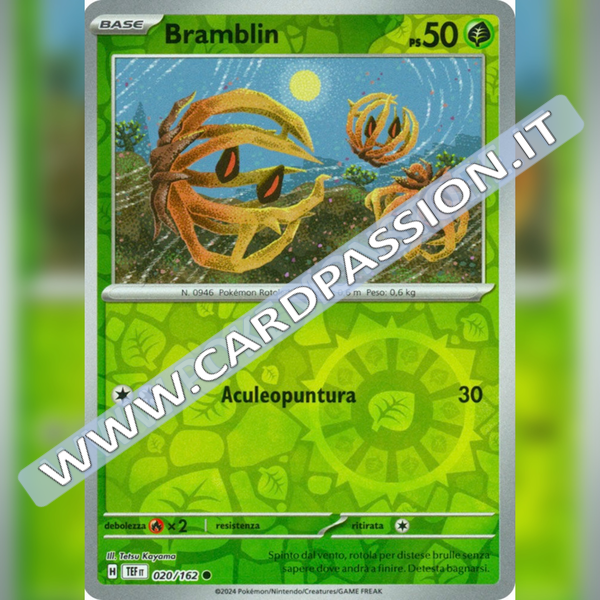 020/162 Bramblin Reverse | Cronoforze