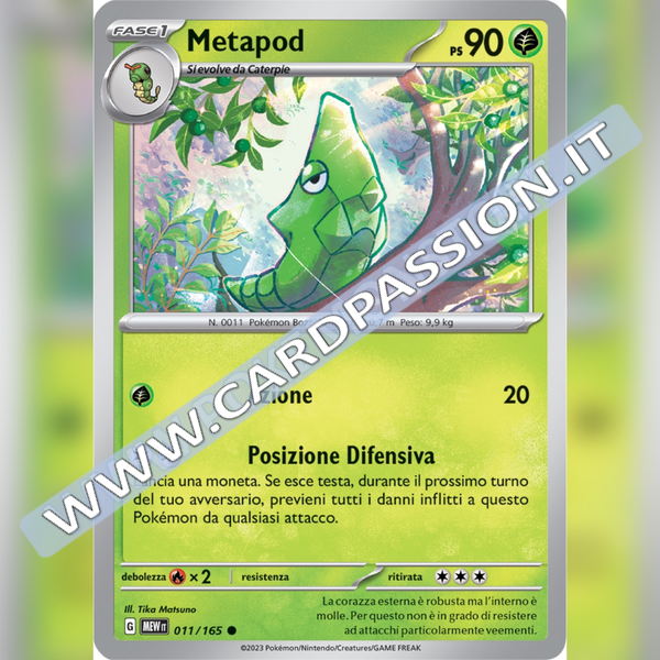 011/165 Metapod | Scarlatto e Violetto 151