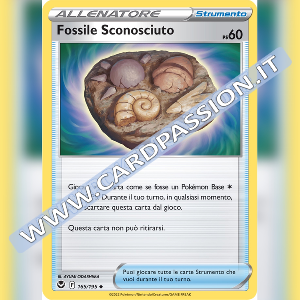 165/195 Fossile Sconosciuto | Tempesta Argentata