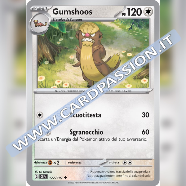 177/197 Gumshoos | Ossidiana Infuocata