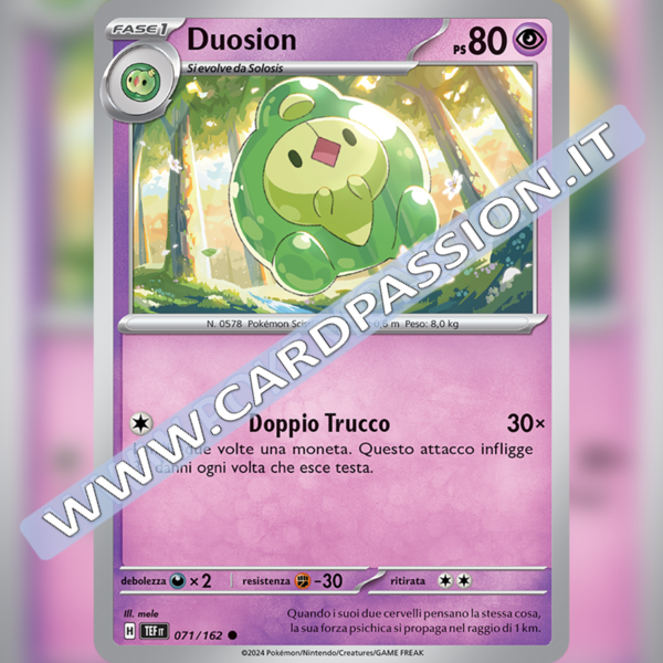 071/162 Duosion | Cronoforze