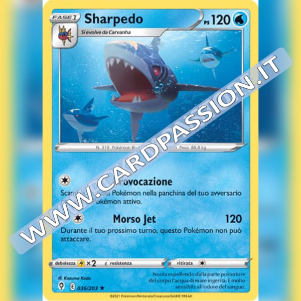 036/203 Sharpedo | Evoluzioni Eteree - Card Passion