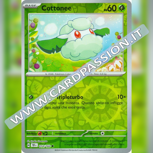 014/162 Cottonee Reverse | Cronoforze