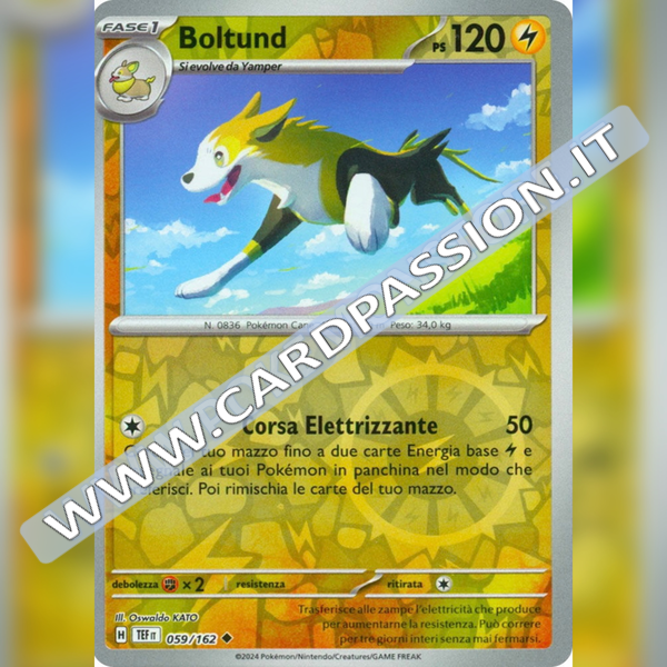 059/162 Boltund Reverse | Cronoforze