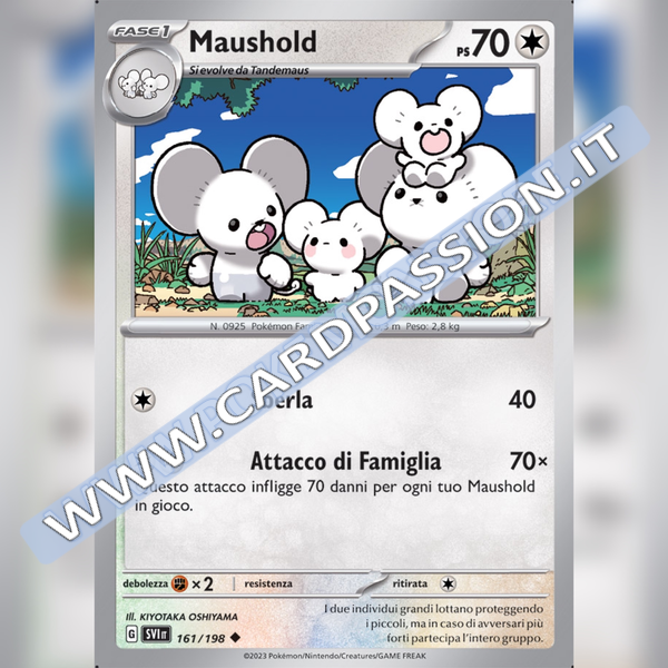 161/198 Maushold | Scarlatto e Violetto