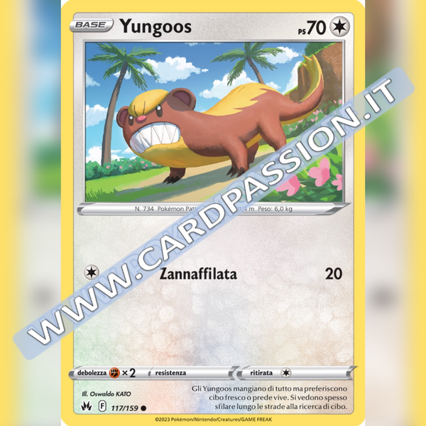 117/159 Yungoos | Zenit Regale