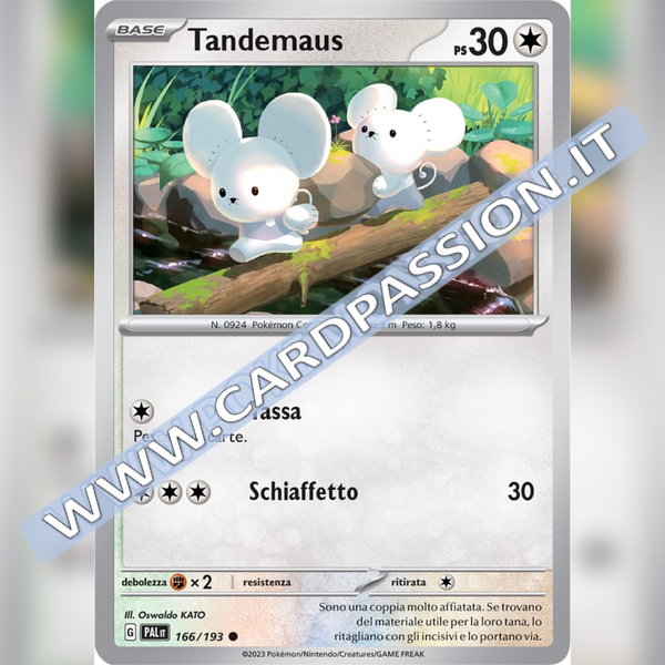 166/193 Tandemaus | Evoluzioni a Paldea