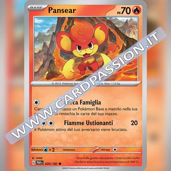 020/182 Pansear | Paradosso Temporale