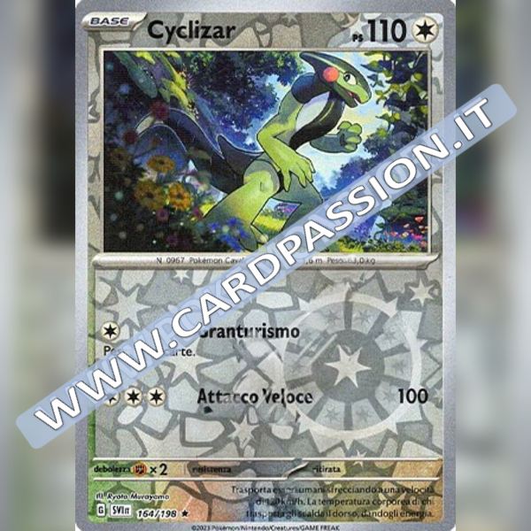 164/198 Cyclizar Reverse | Scarlatto e Violetto