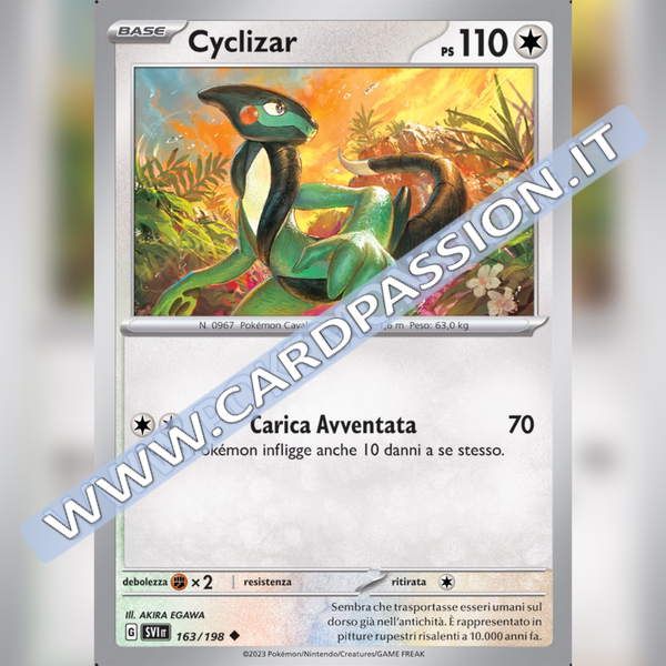 163/198 Cyclizar | Scarlatto e Violetto