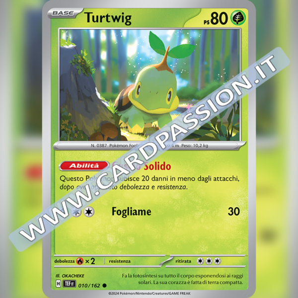 010/162 Turtwig | Cronoforze