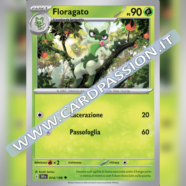 014/198 Floragato | Scarlatto e Violetto