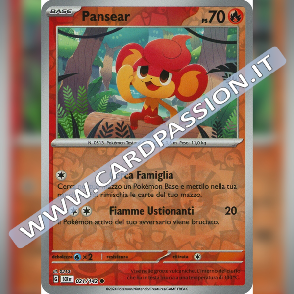 021/142 Pansear Reverse | Corona Astrale