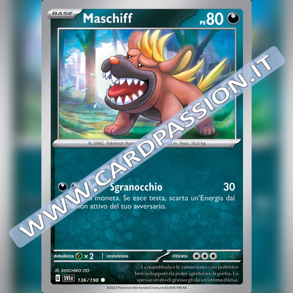 136/198 Maschiff | Scarlatto e Violetto