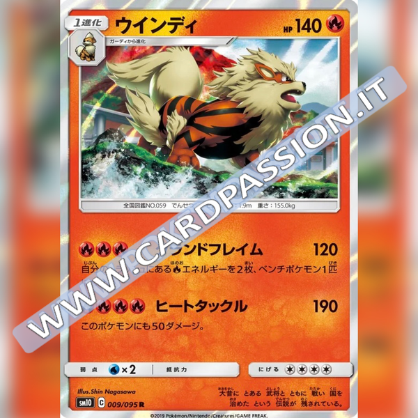 009/095 Arcanine Holo | Double Blaze (sm10) - Card Passion