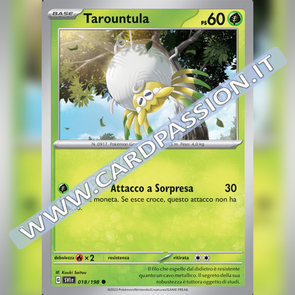 018/198 Tarountula | Scarlatto e Violetto