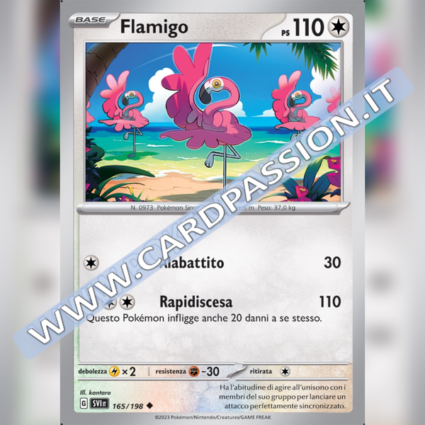 165/198 Flamigo | Scarlatto e Violetto