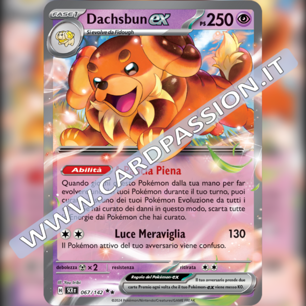 067/142 Dachsbun ex | Corona Astrale