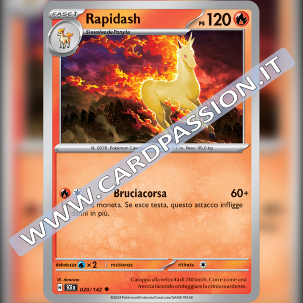 020/142 Rapidash | Corona Astrale