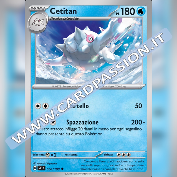 060/198 Cetitan | Scarlatto e Violetto
