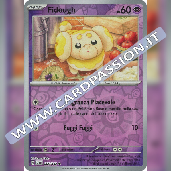 066/142 Fidough Reverse | Corona Astrale