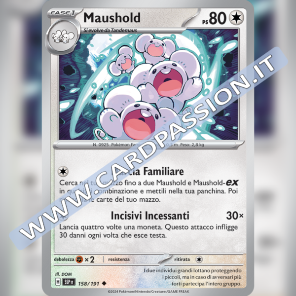 158/191 Maushold | Scintille Folgoranti