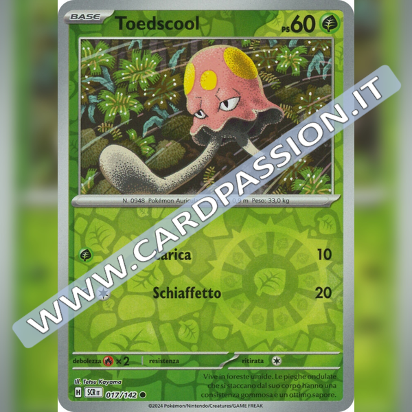 017/142 Toedscool Reverse | Corona Astrale
